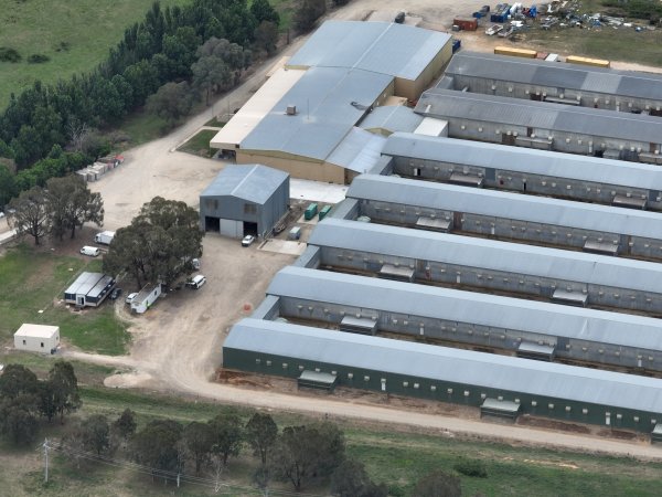 Drone flyover of egg farm