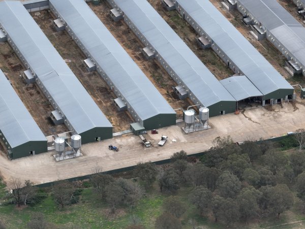 Drone flyover of egg farm