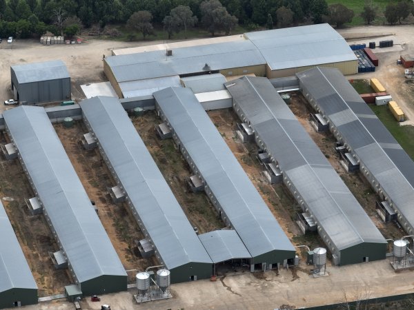 Drone flyover of egg farm