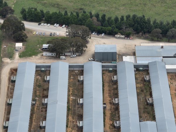 Drone flyover of egg farm