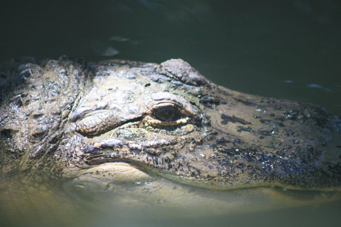 Bosque y Zoológico de la Ciudad 2023