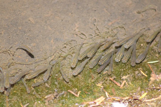 Bosque y Zoológico de la Ciudad 2023