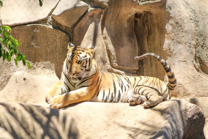 Bosque y Zoológico de la Ciudad 2023