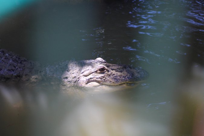 Bosque y Zoológico de la Ciudad 2023