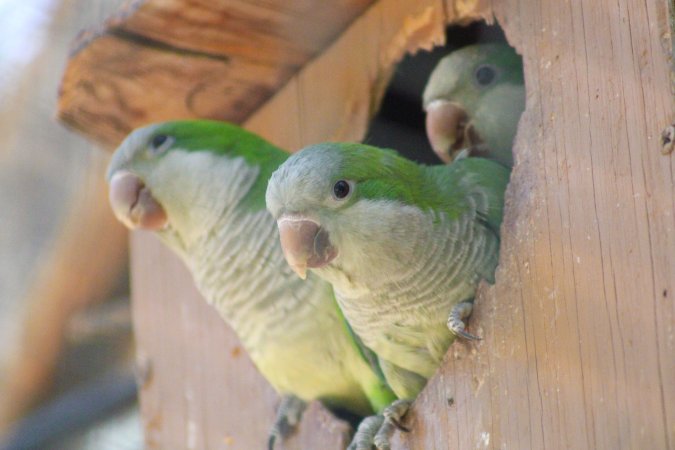 Bosque y Zoológico de la Ciudad 2023