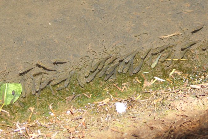 Bosque y Zoológico de la Ciudad 2023