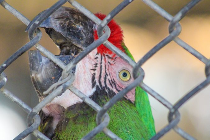 Bosque y Zoológico de la Ciudad 2023