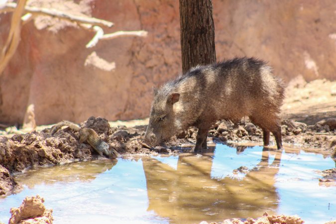 Bosque y Zoológico de la Ciudad 2023