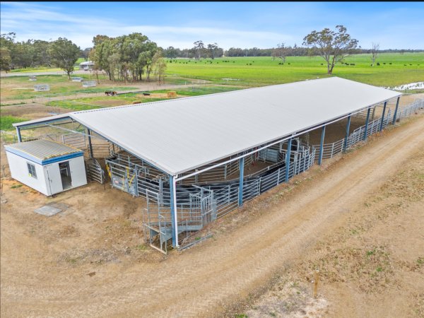 Real Estate Listing Photos