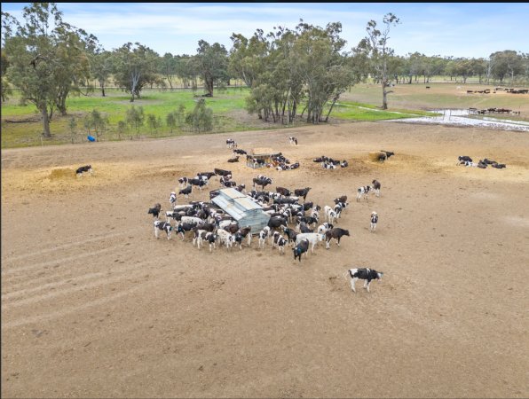 Real Estate Listing Photos