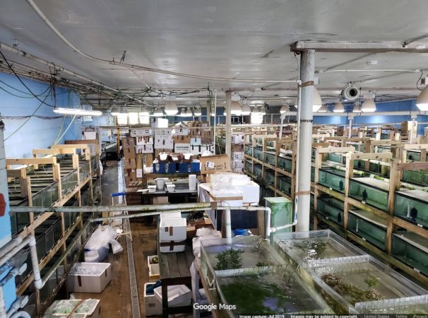 Inside of Fish Fish Fish Inc.