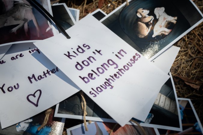 Game Meats Company Vigil 2026