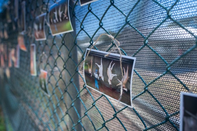 Game Meats Company Vigil 2026