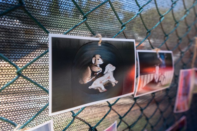 Game Meats Company Vigil 2026