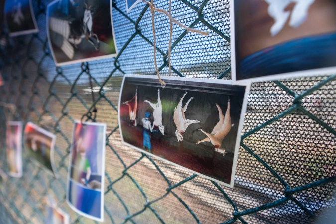 Game Meats Company Vigil 2026