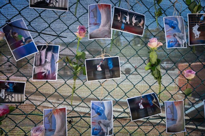 Game Meats Company Vigil 2026