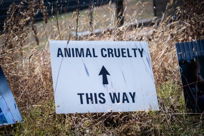 Game Meats Company Vigil 2026