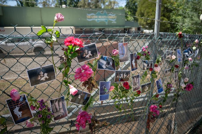 Game Meats Company Vigil 2026