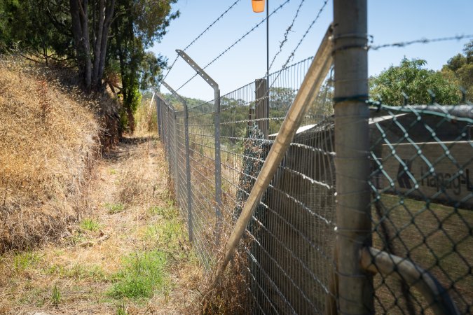 Game Meats Company Vigil 2026