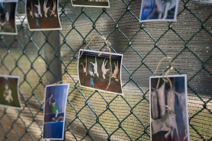 Game Meats Company Vigil 2026