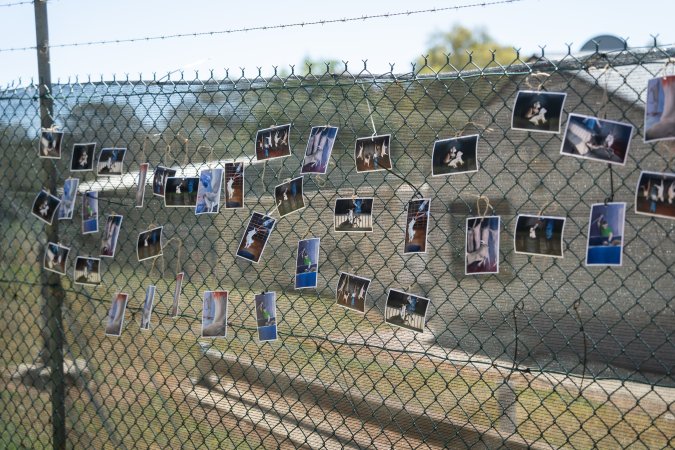 Game Meats Company Vigil 2026