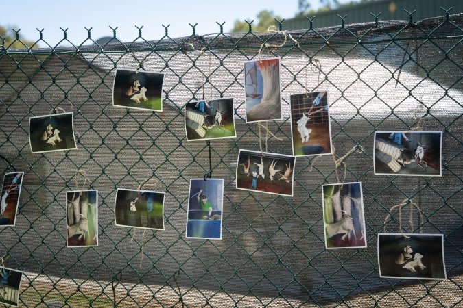 Game Meats Company Vigil 2026