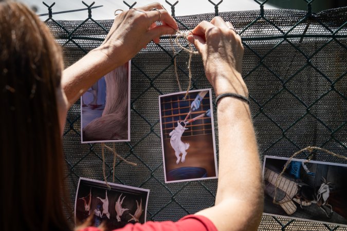 Game Meats Company Vigil 2026