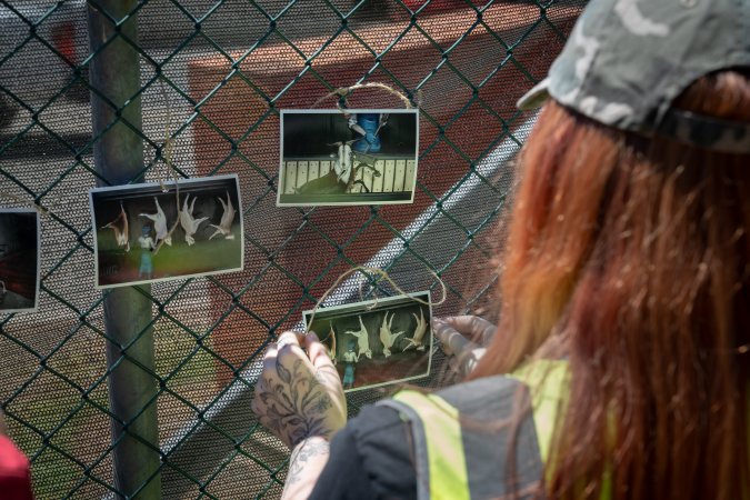 Game Meats Company Vigil 2026