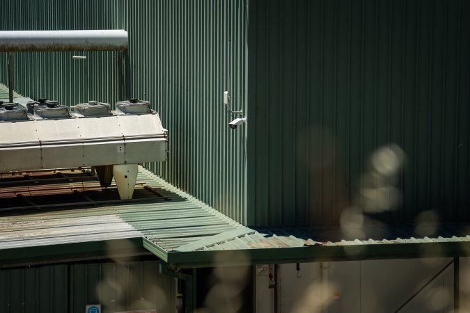 Game Meats Company Vigil 2026