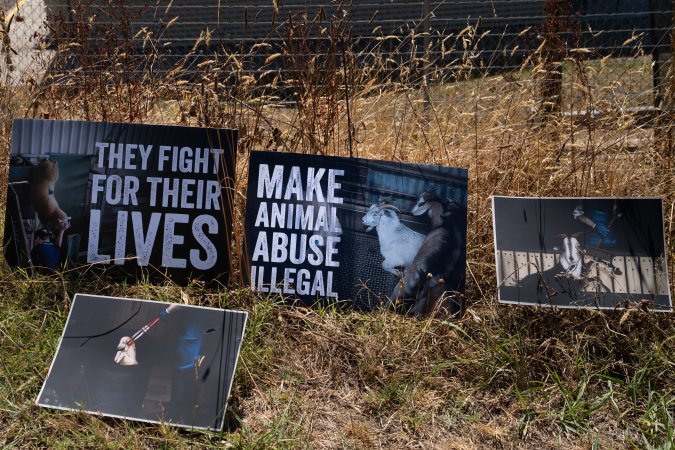 Game Meats Company Vigil 2026