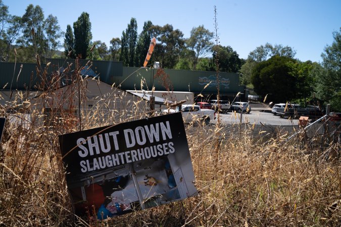 Game Meats Company Vigil 2026