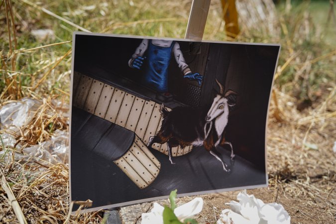 Game Meats Company Vigil 2026