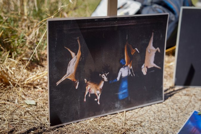 Game Meats Company Vigil 2026