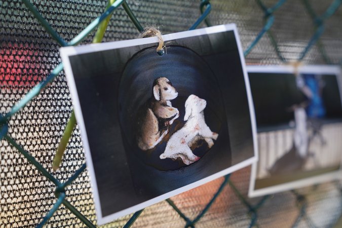 Game Meats Company Vigil 2026