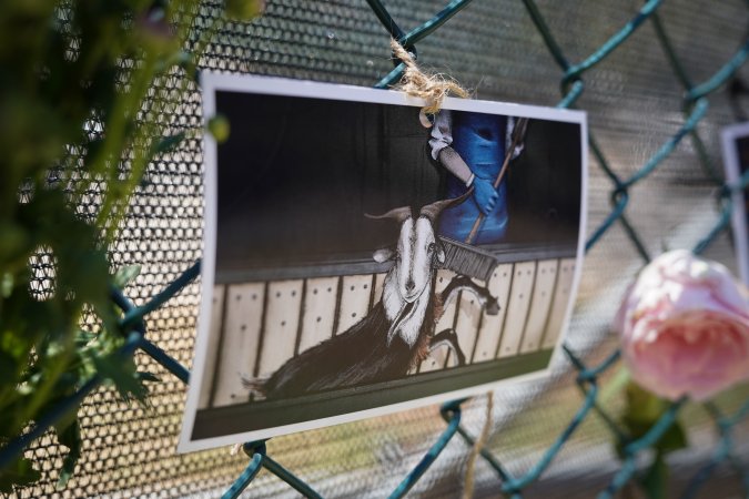 Game Meats Company Vigil 2026