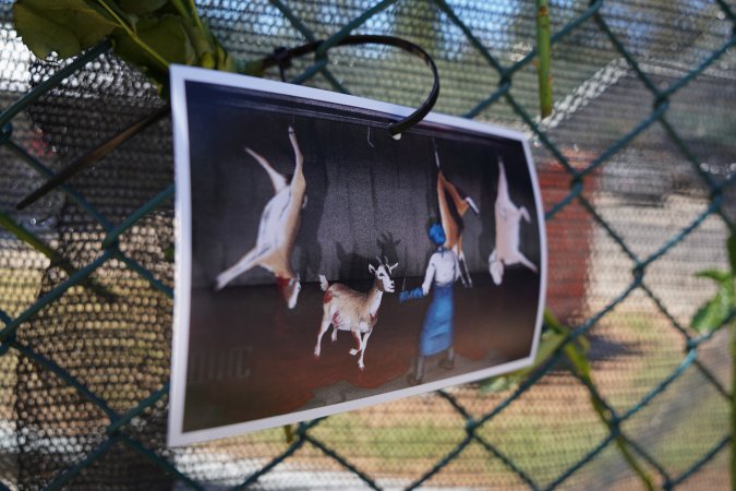 Game Meats Company Vigil 2026