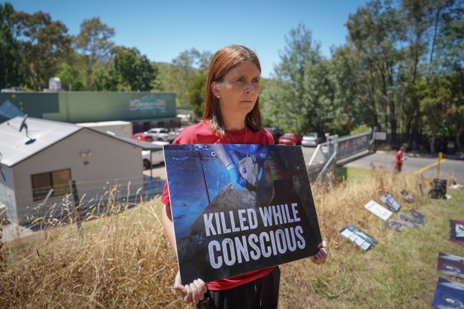 Game Meats Company Vigil 2026