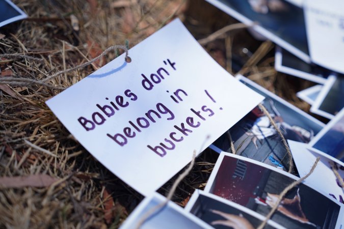 Game Meats Company Vigil 2026