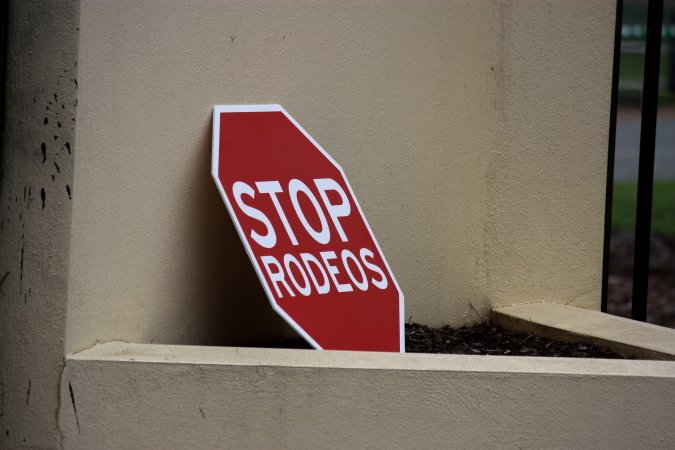 Protest outside of Queanbeyan Rodeo