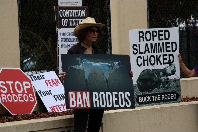 Protest outside of Queanbeyan Rodeo