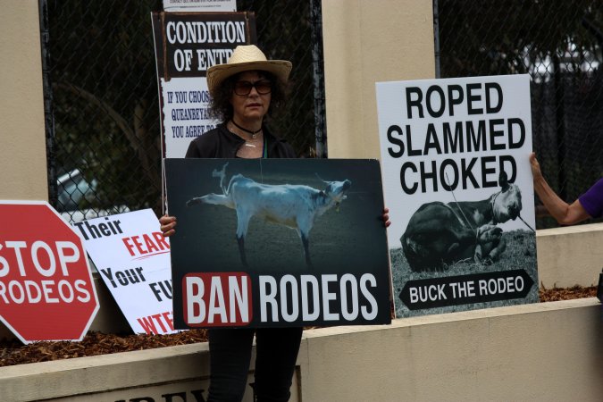 Protest outside of Queanbeyan Rodeo