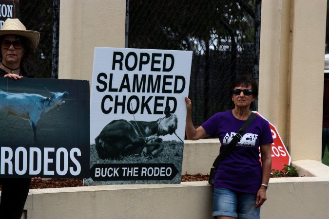 Protest outside of Queanbeyan Rodeo