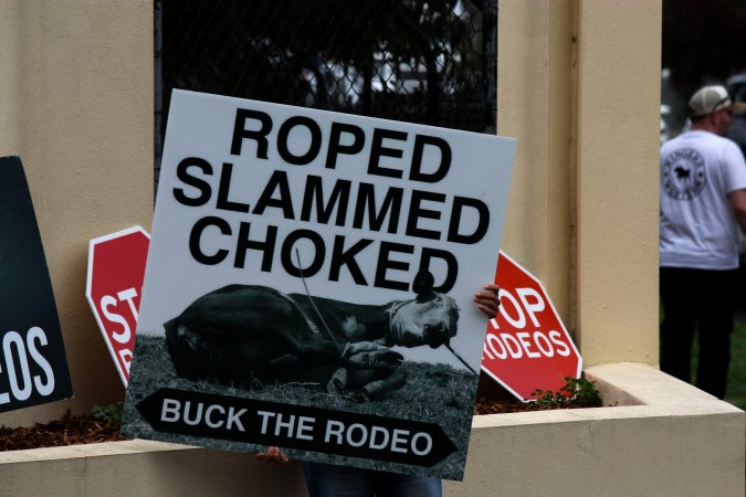 Protest outside of Queanbeyan Rodeo