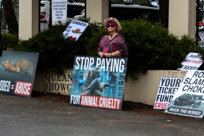 Protest outside of Queanbeyan Rodeo