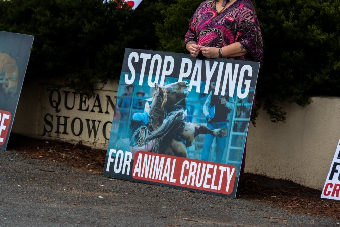 Protest outside of Queanbeyan Rodeo