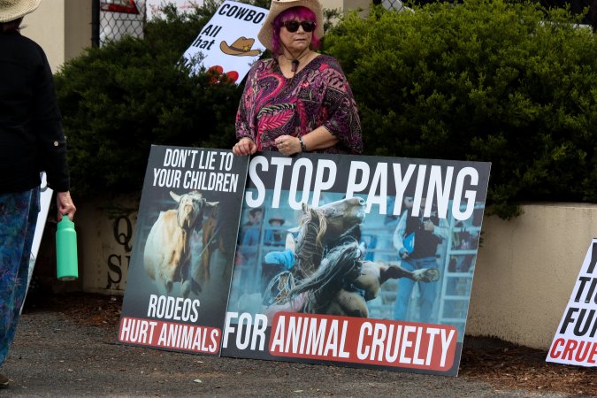 Protest outside of Queanbeyan Rodeo