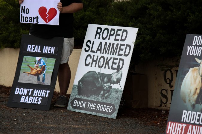 Protest outside of Queanbeyan Rodeo