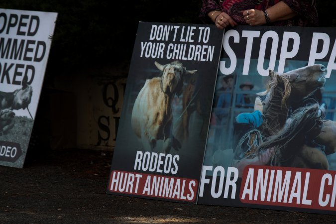 Protest outside of Queanbeyan Rodeo