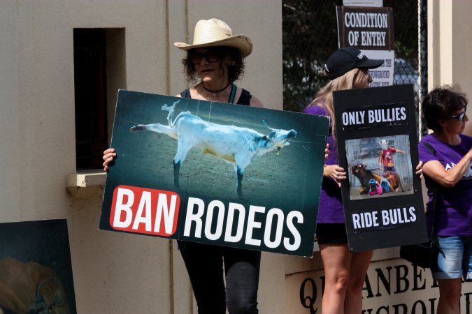 Protest outside of Queanbeyan Rodeo