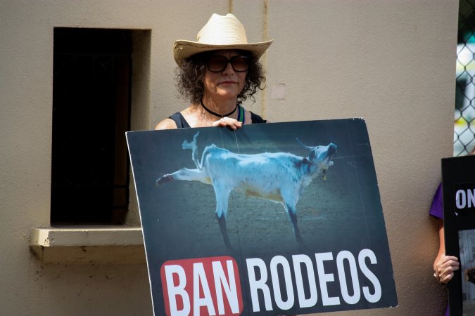 Protest outside of Queanbeyan Rodeo